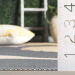 ANTHRACITE / BEIGE
