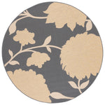 ANTHRACITE / BEIGE