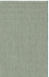 DARK GREEN / BEIGE