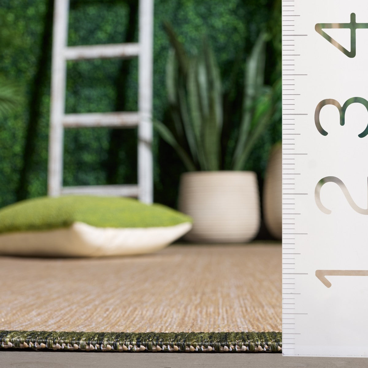 BEIGE / DARK GREEN