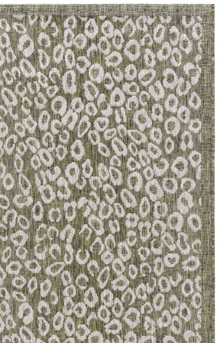 DARK GREEN / BEIGE