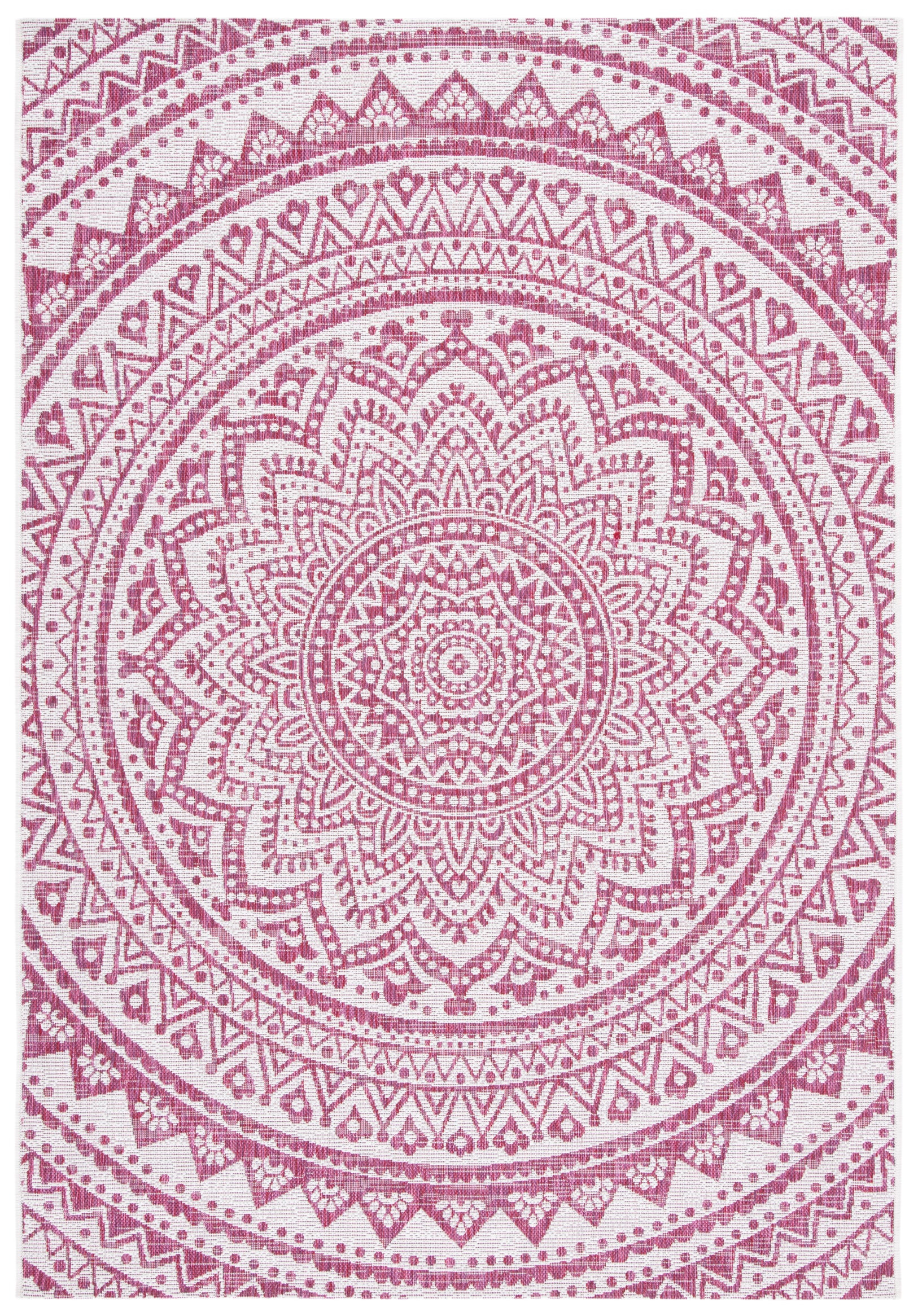 IVORY / FUCHSIA