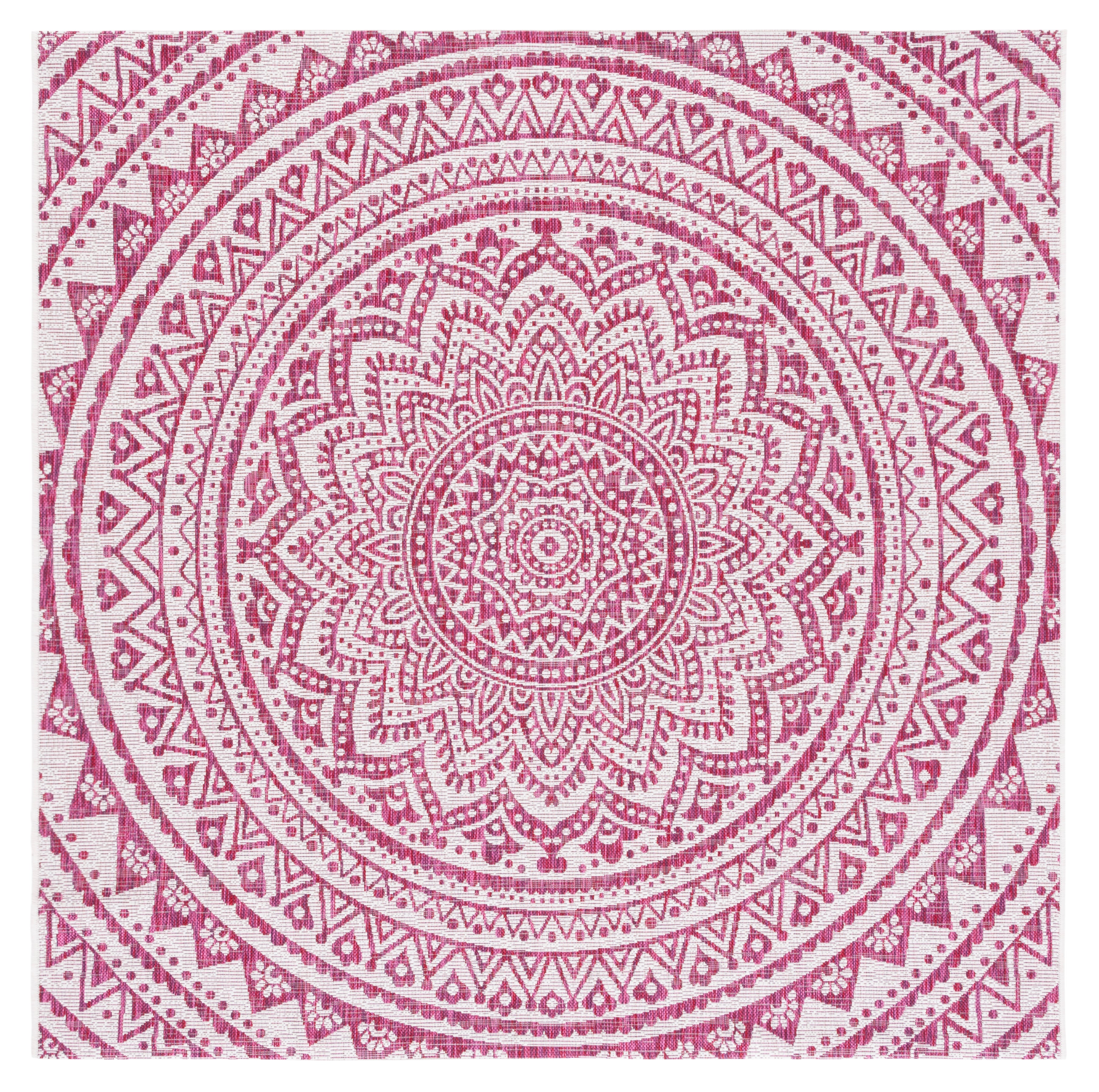 IVORY / FUCHSIA