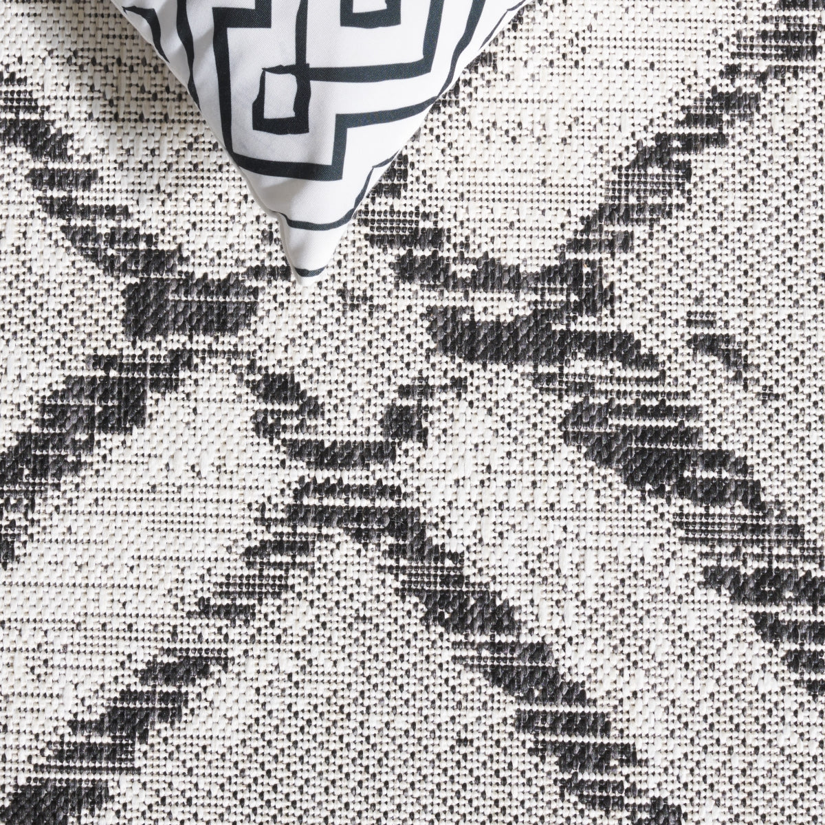 IVORY / BLACK