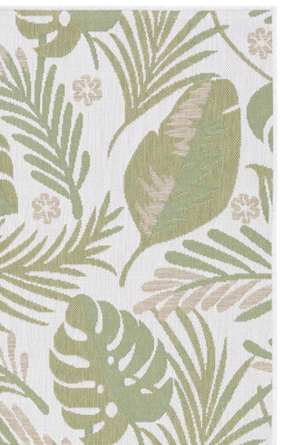 IVORY / GREEN