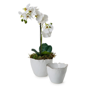 Tozai Home Set of 2 White Free Form Planter - CYC048-S2