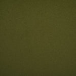 Olive / Brushed Gold - Olive / Brushed Gold