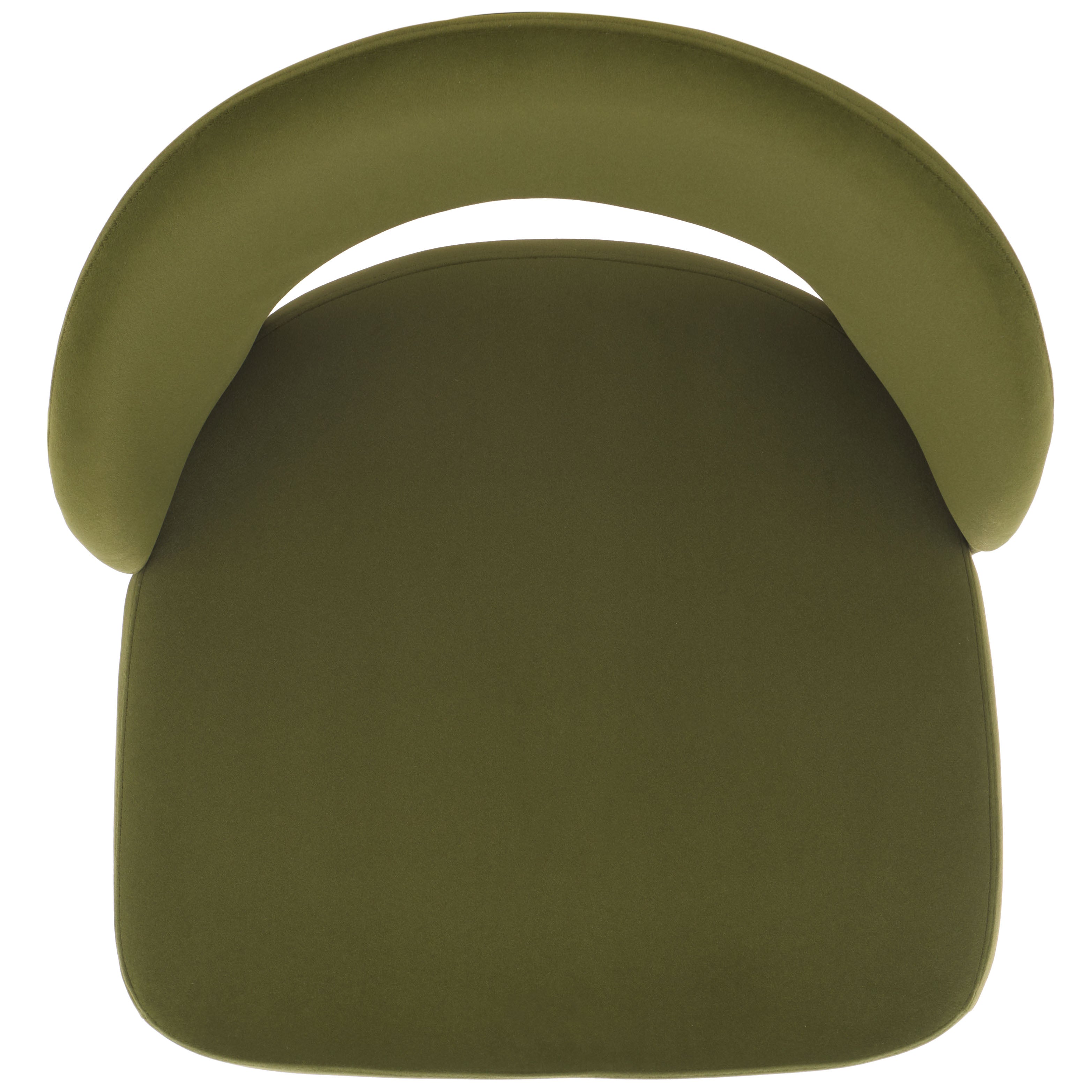 Olive / Brushed Gold - Olive / Brushed Gold
