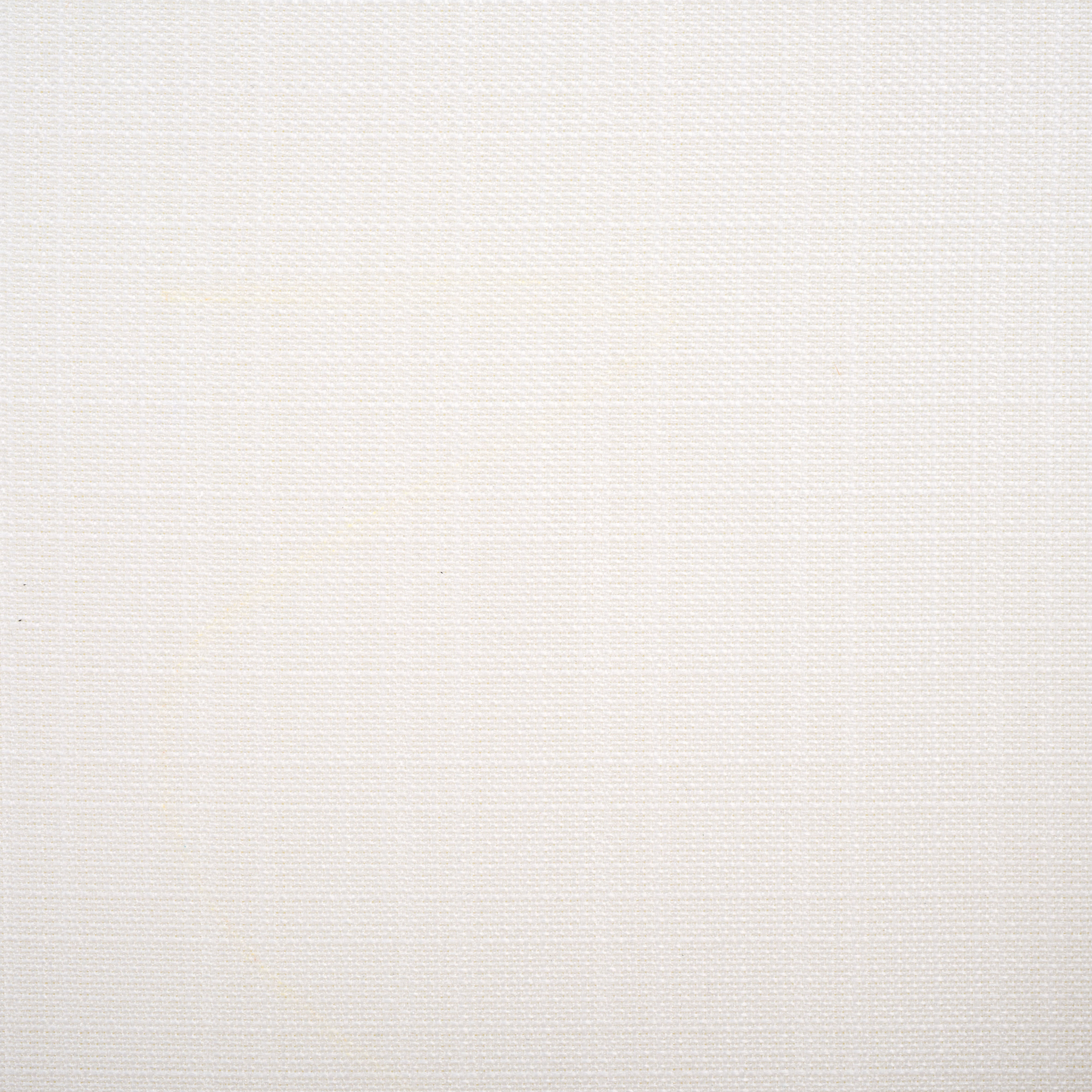 White / White - White / White