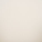 Navy / White - Navy / White