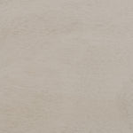 Safavieh Peyton 2 Drawer Desk , DSK5705 - Taupe