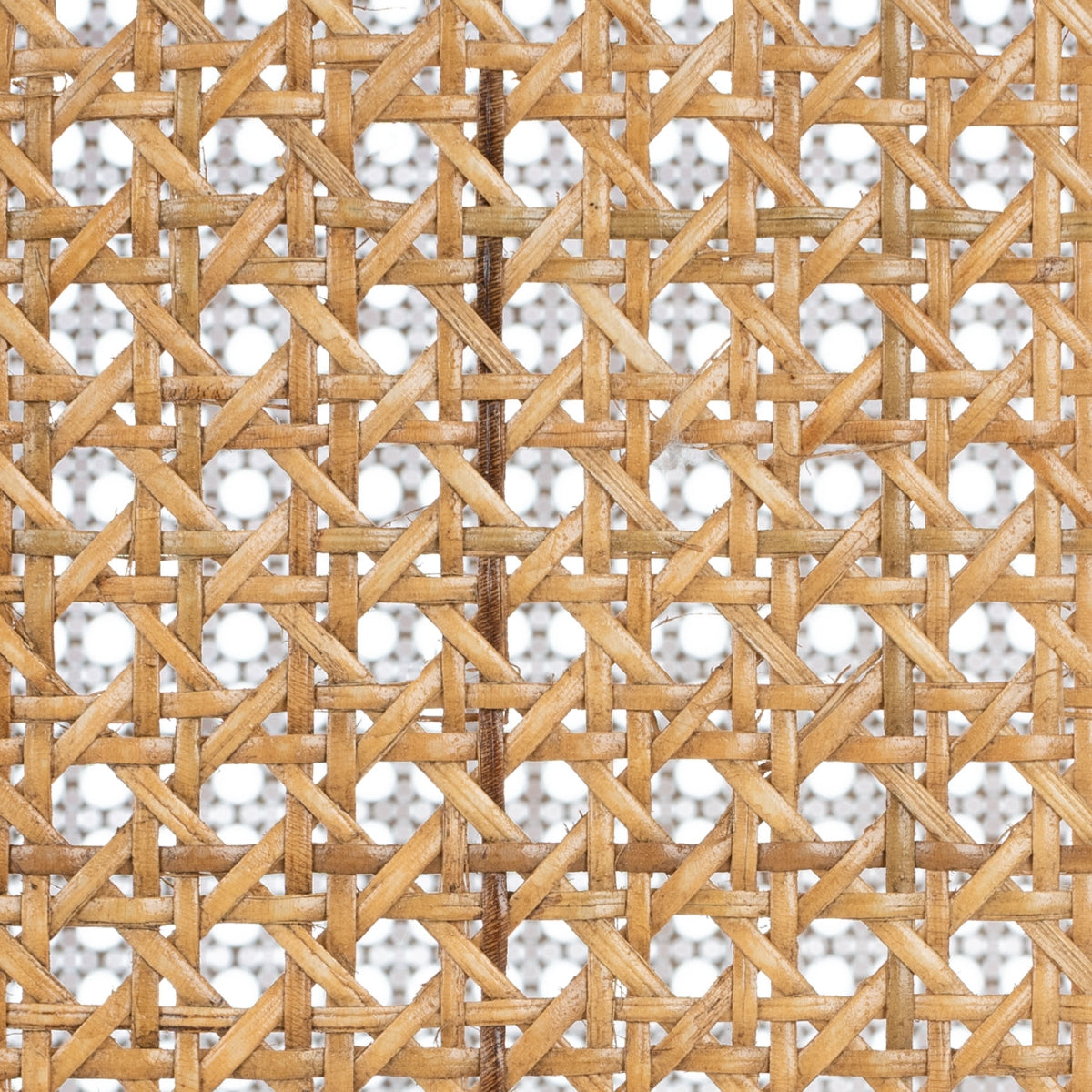 WHITE / NATURAL