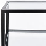 BLACK / CLEAR