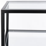 BLACK / CLEAR