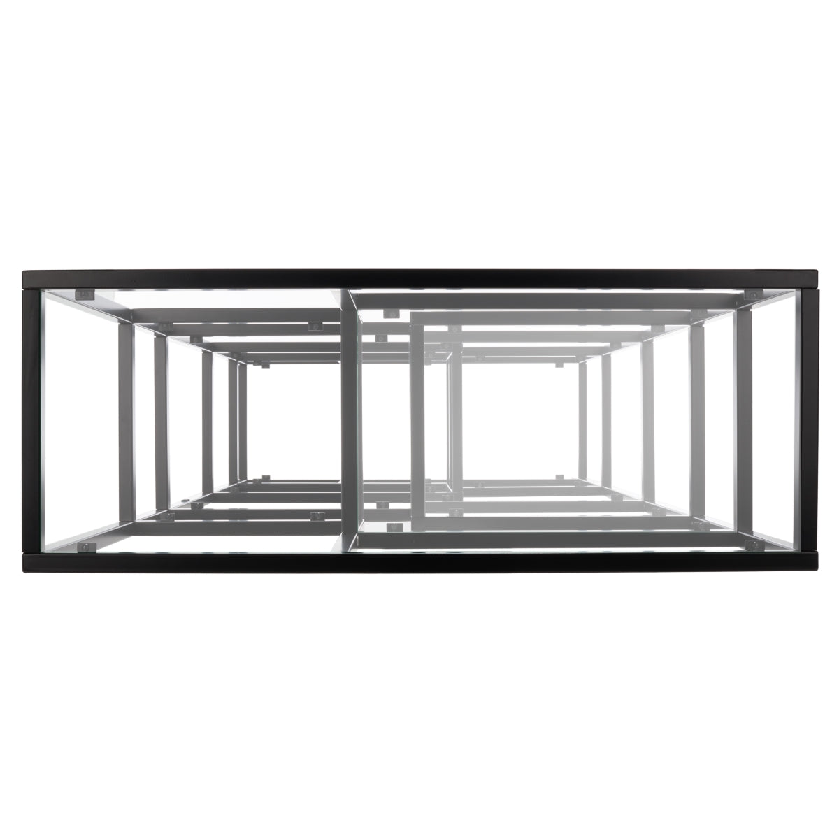 BLACK / CLEAR