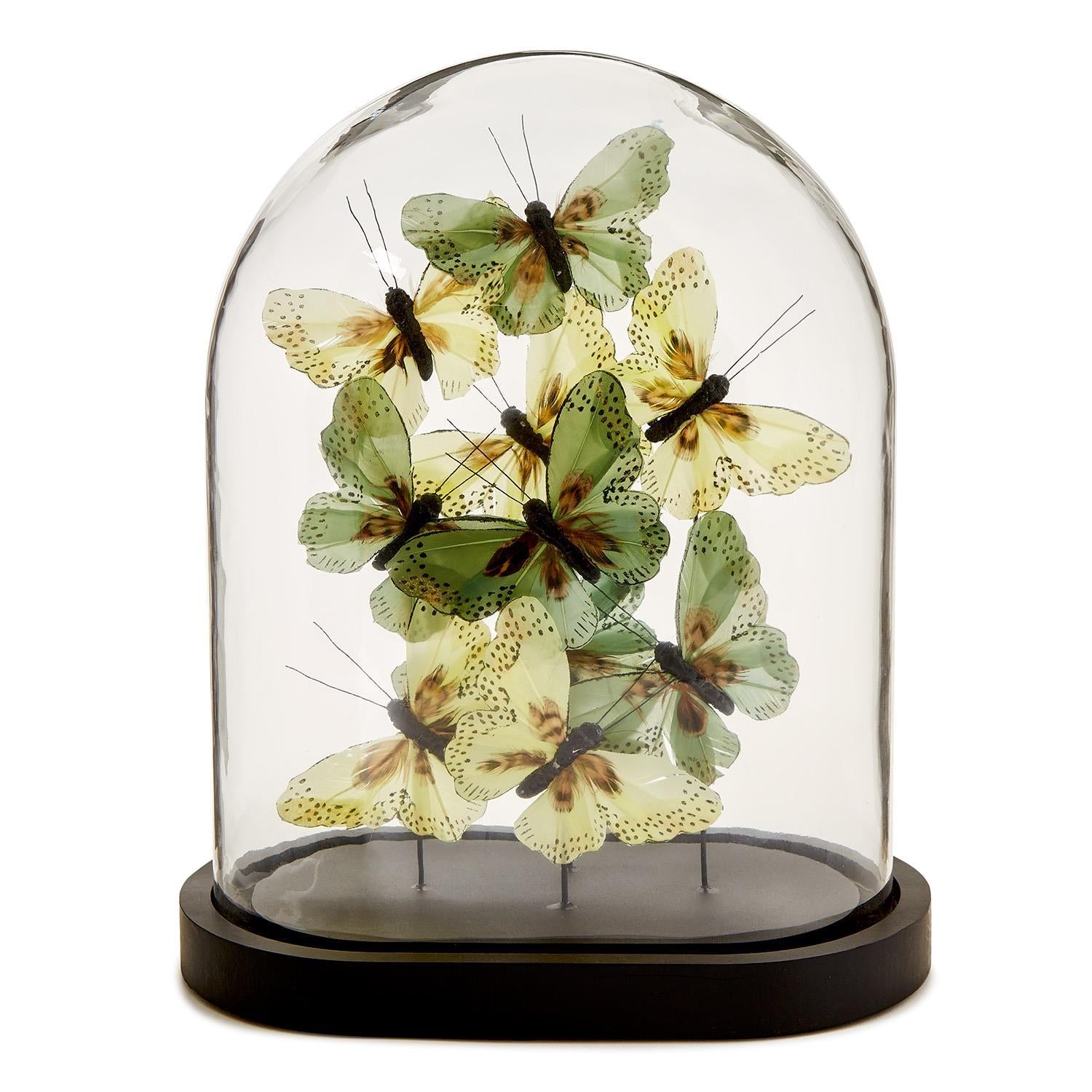 Two's Company Flora and Fauna Butterflies in Oval Dome