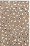 FIFTH AVENUE 175 BEIGE / IVORY