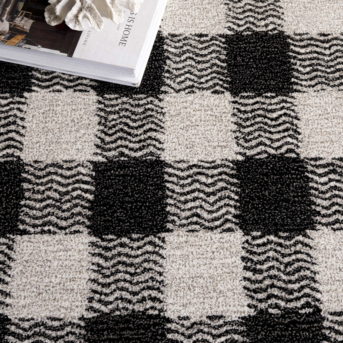 CHARCOAL / IVORY