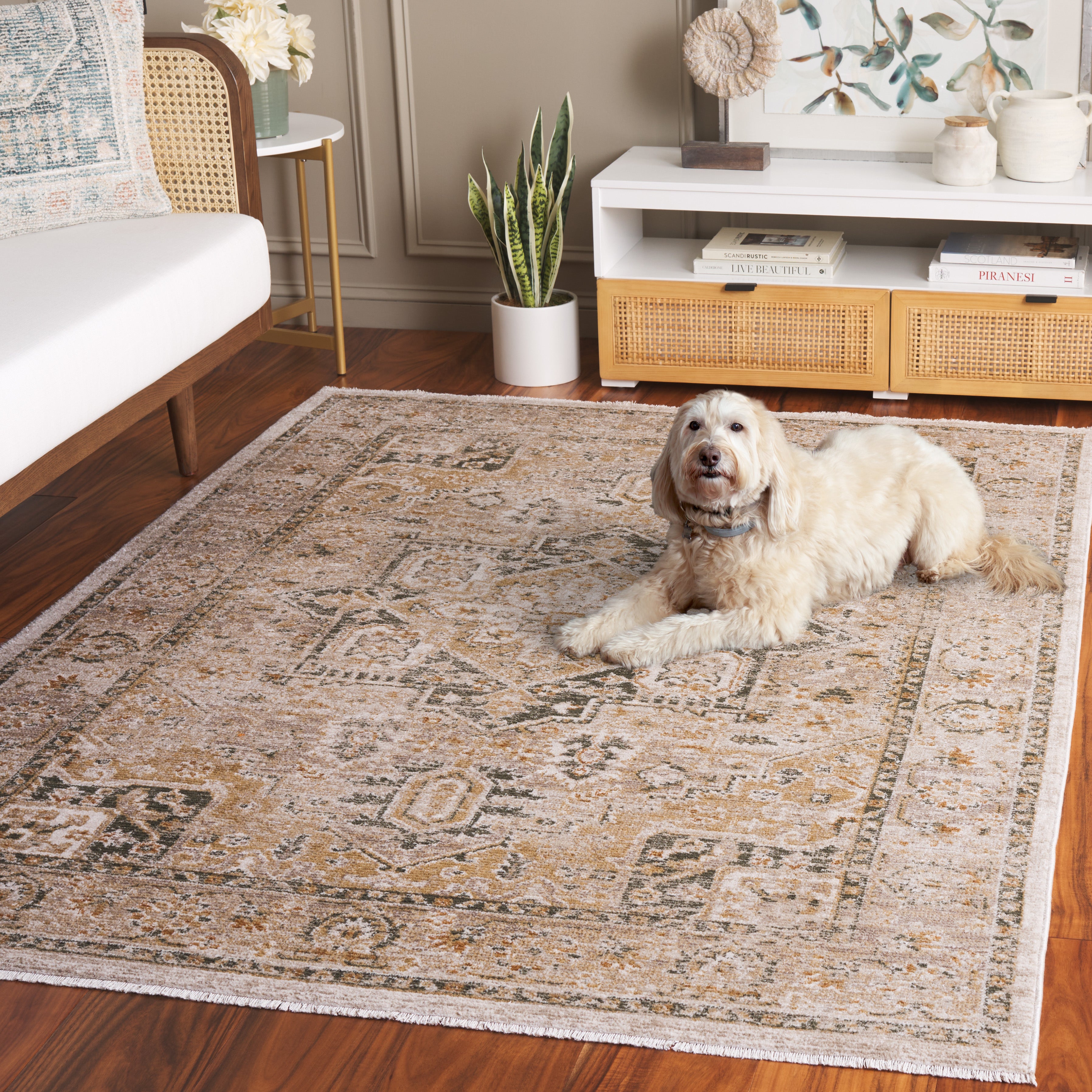 HAZEL 500 – TAUPE / GREEN