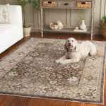 HAZEL 502 – BROWN / IVORY