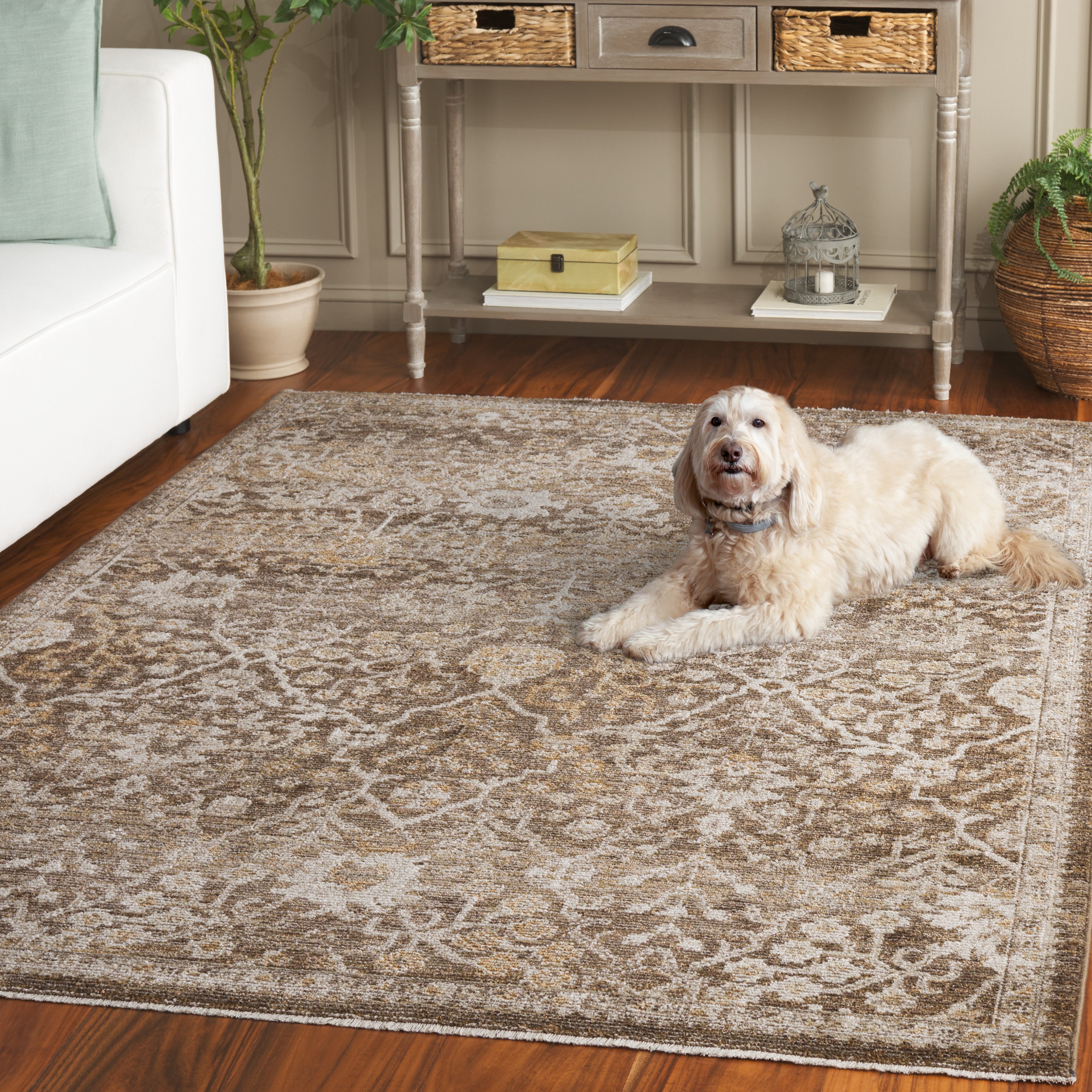 HAZEL 508 – BROWN / IVORY