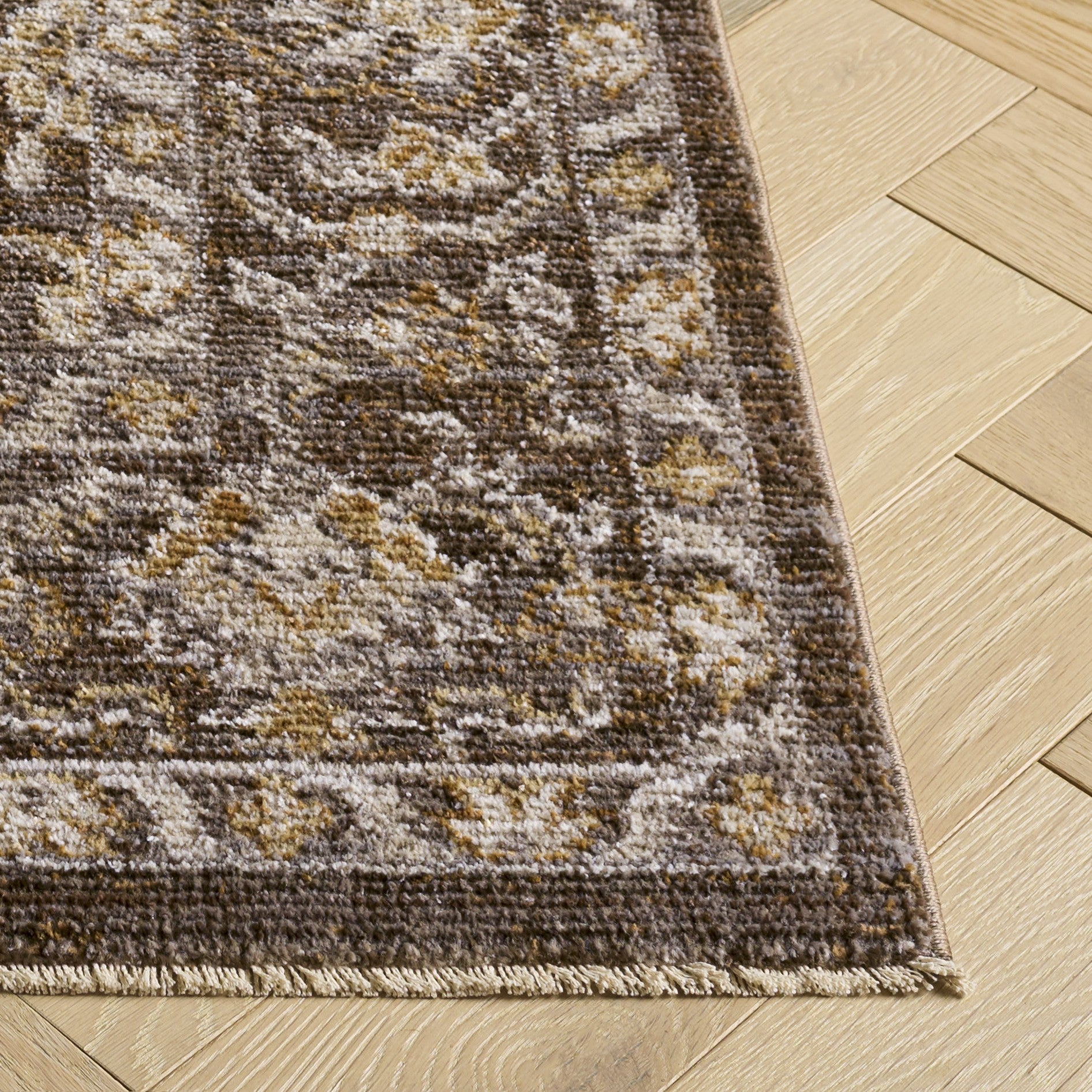 BROWN / IVORY