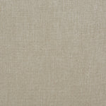 TAUPE / SILVER-1