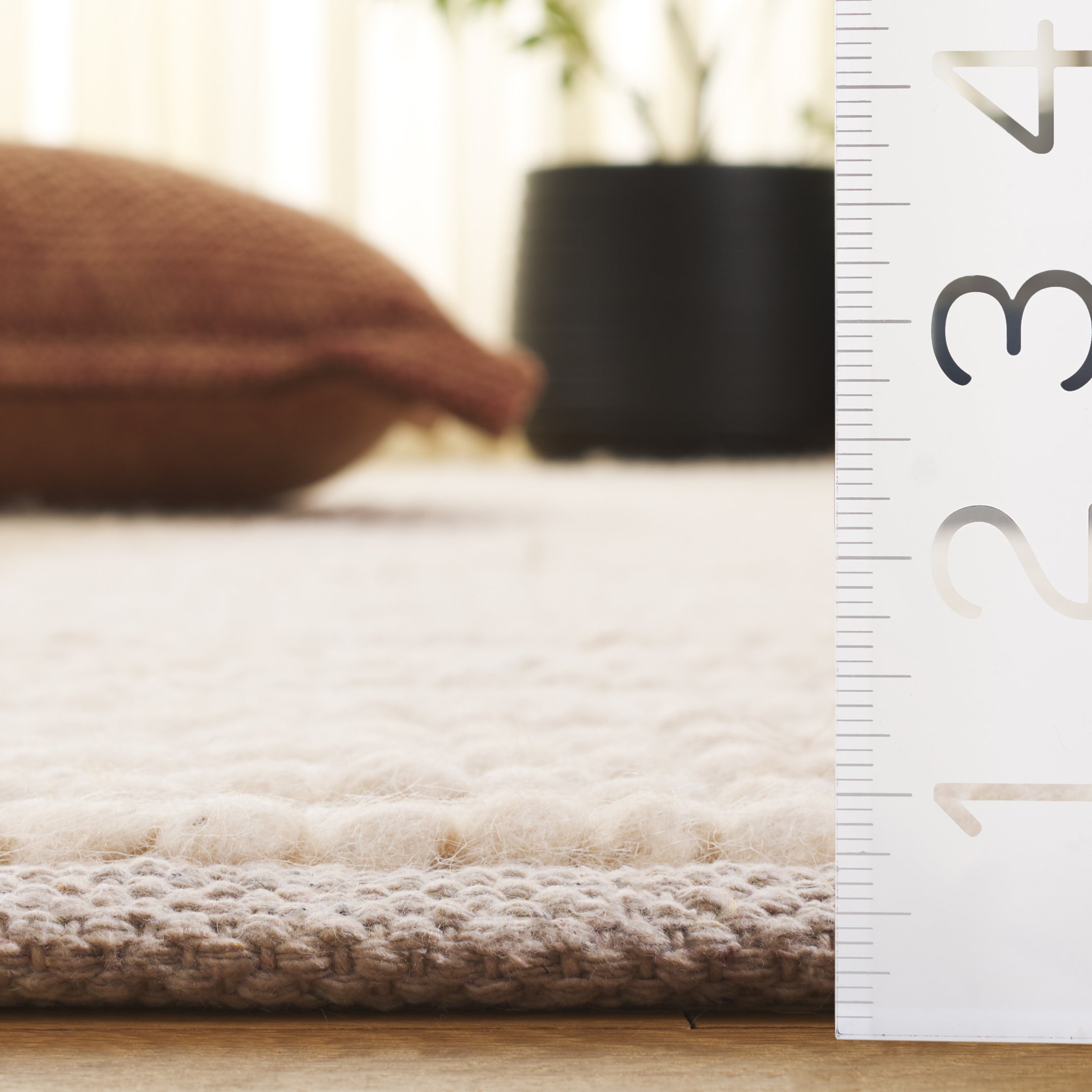 BEIGE / IVORY