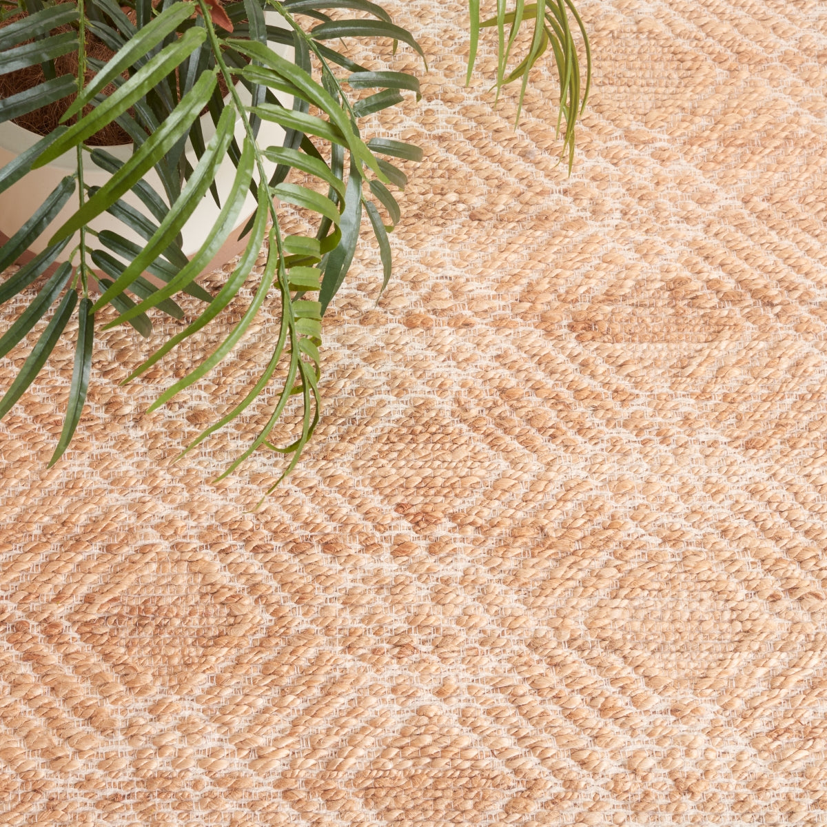 NATURAL / IVORY