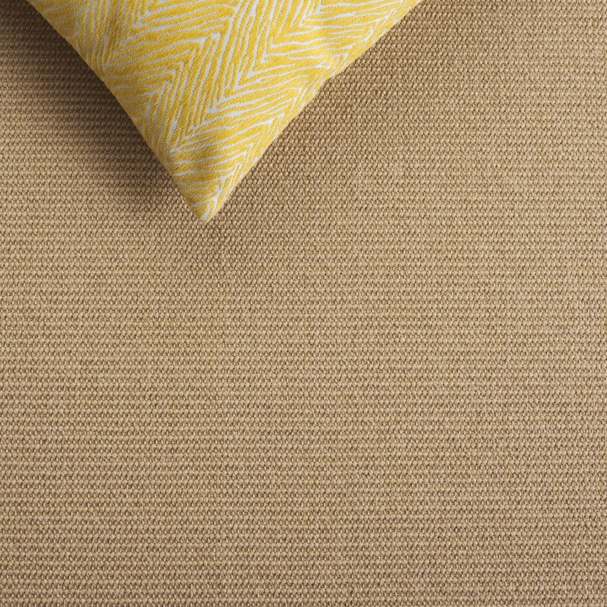 MAIZE / BEIGE