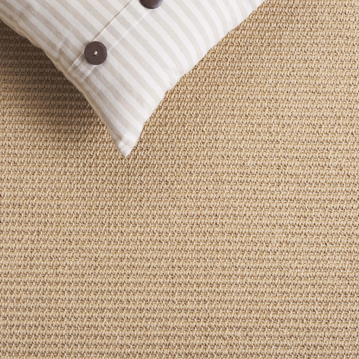 MAIZE / BEIGE