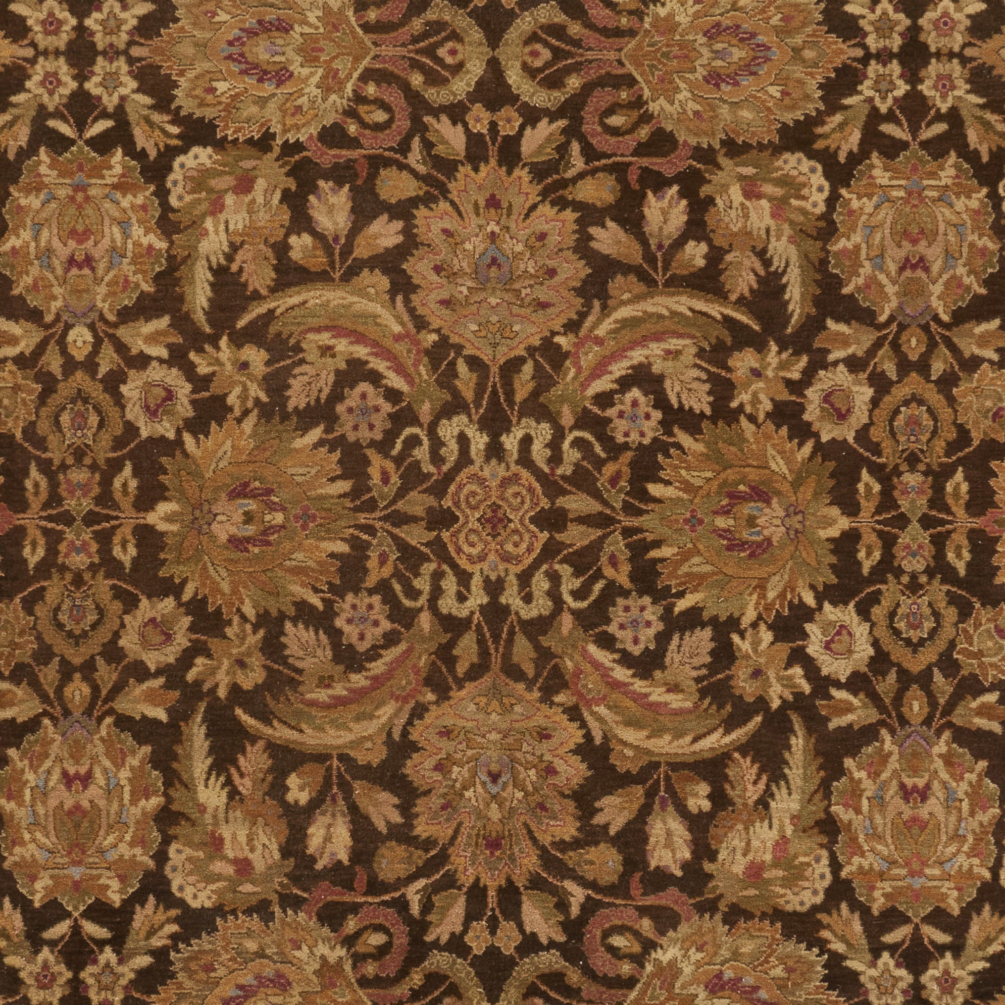DARK BROWN / GOLD