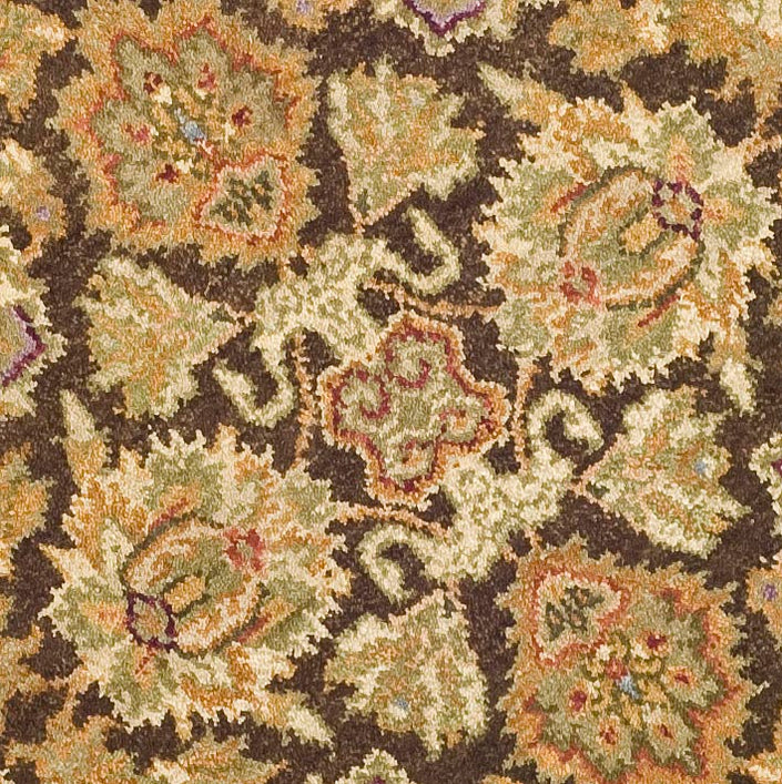 DARK BROWN / GOLD