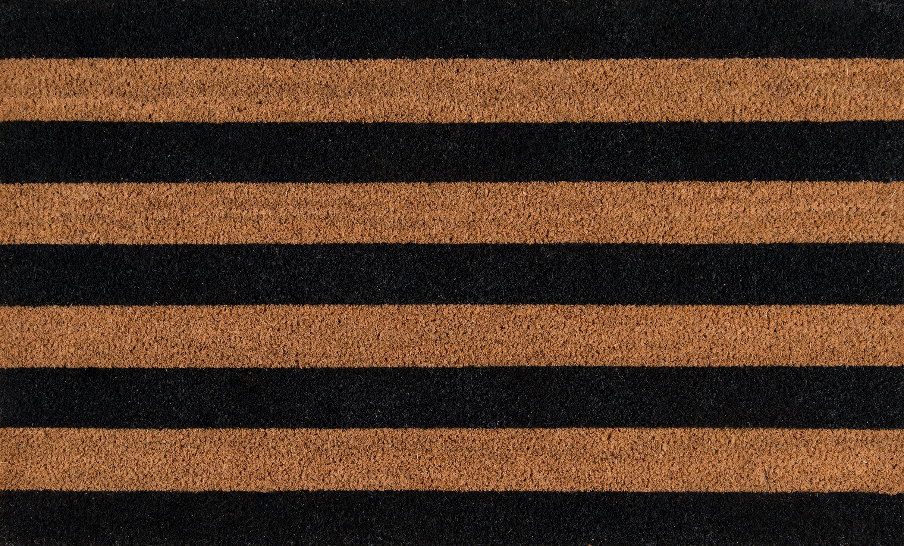 Momeni Rug Park Collection | Black - PARK0PAR-2BLK1626