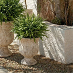 ANTIQUE WHITE