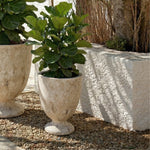 ANTIQUE WHITE