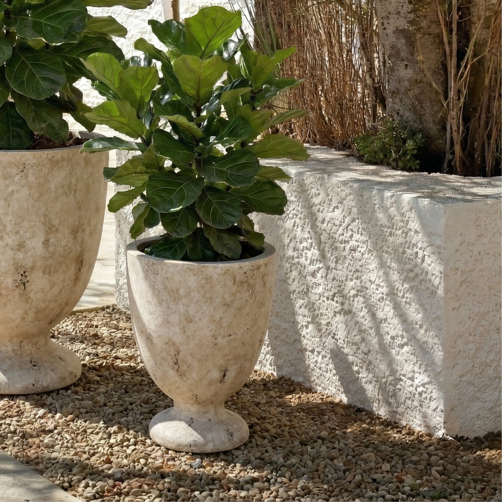 ANTIQUE WHITE