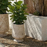 ANTIQUE WHITE