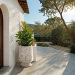 ANTIQUE WHITE