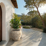 ANTIQUE WHITE
