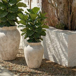 ANTIQUE WHITE