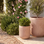 TERRACOTTA