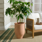 TERRACOTTA