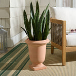 TERRACOTTA