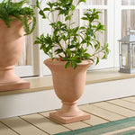 TERRACOTTA