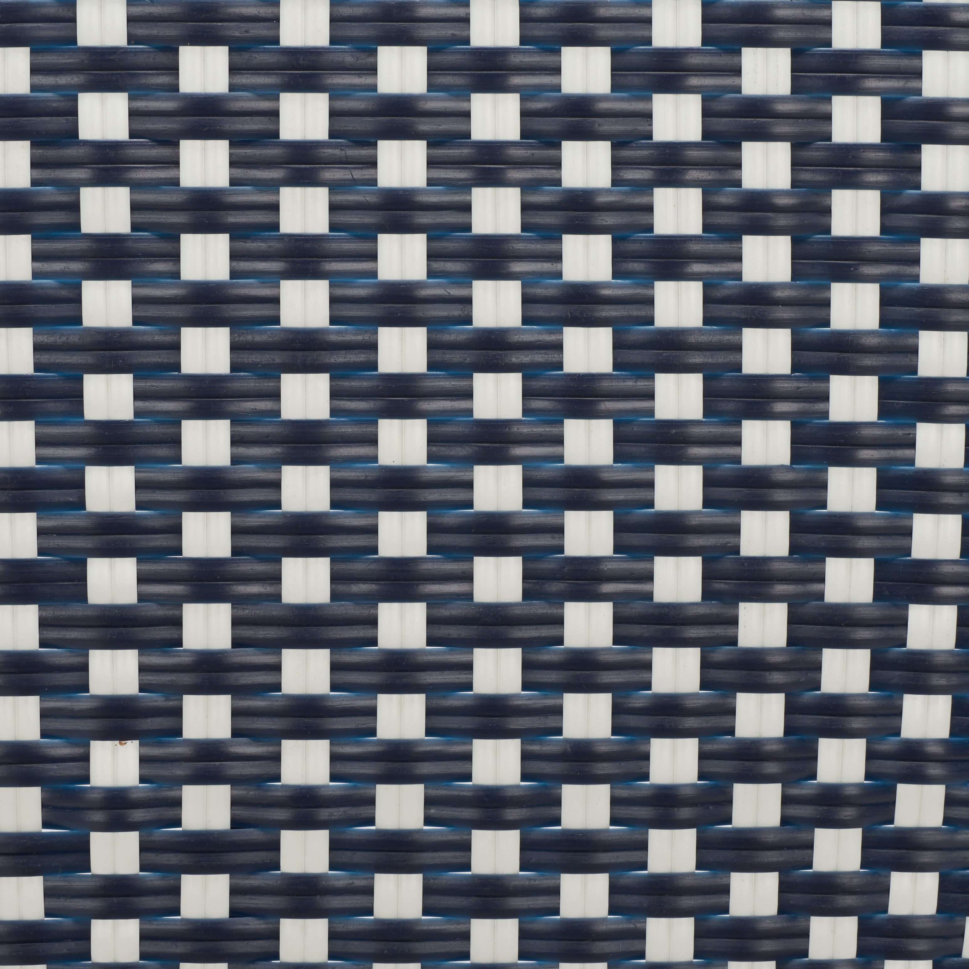 Navy / White