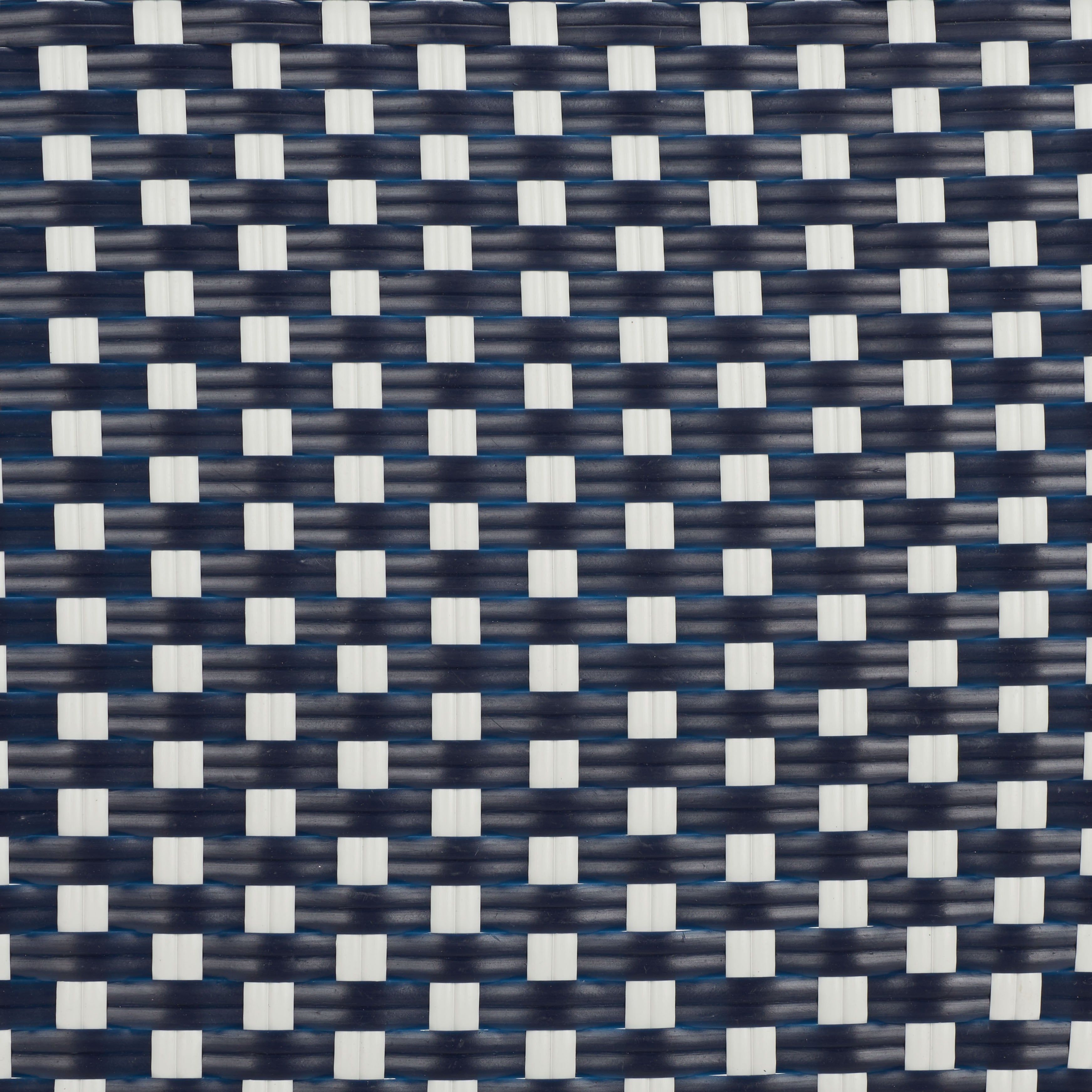 NAVY / WHITE
