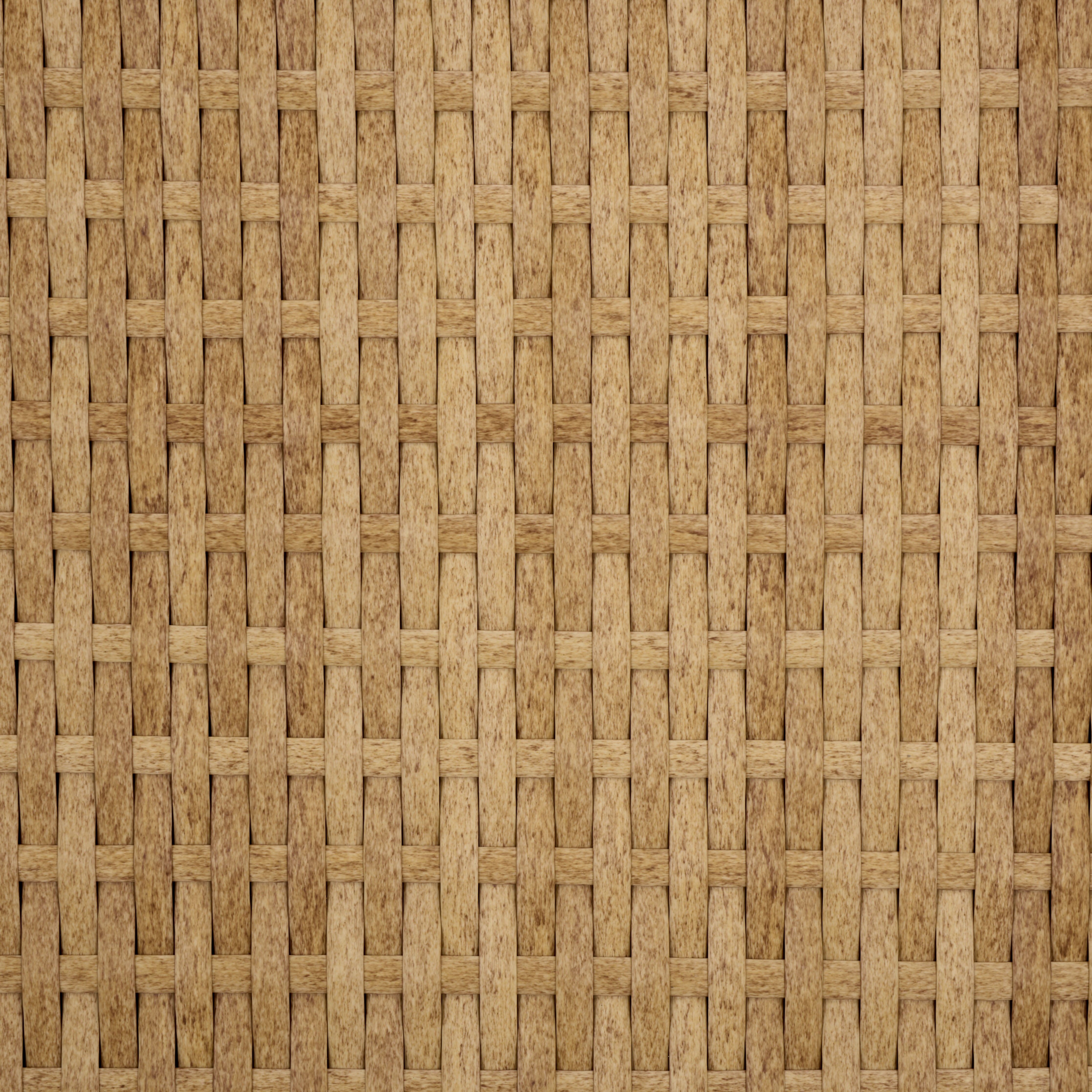NATURAL / TAUPE
