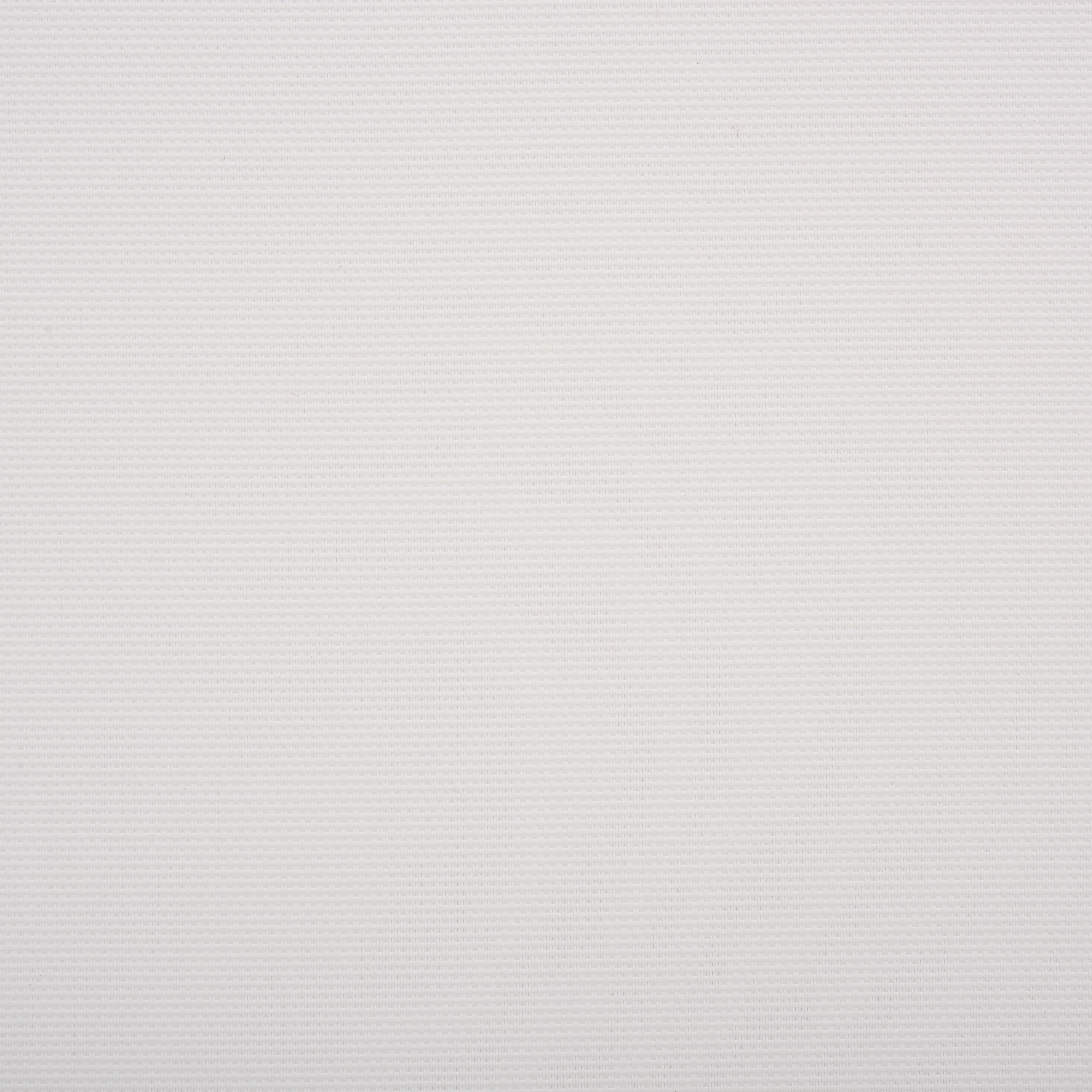 WHITE / WHITE