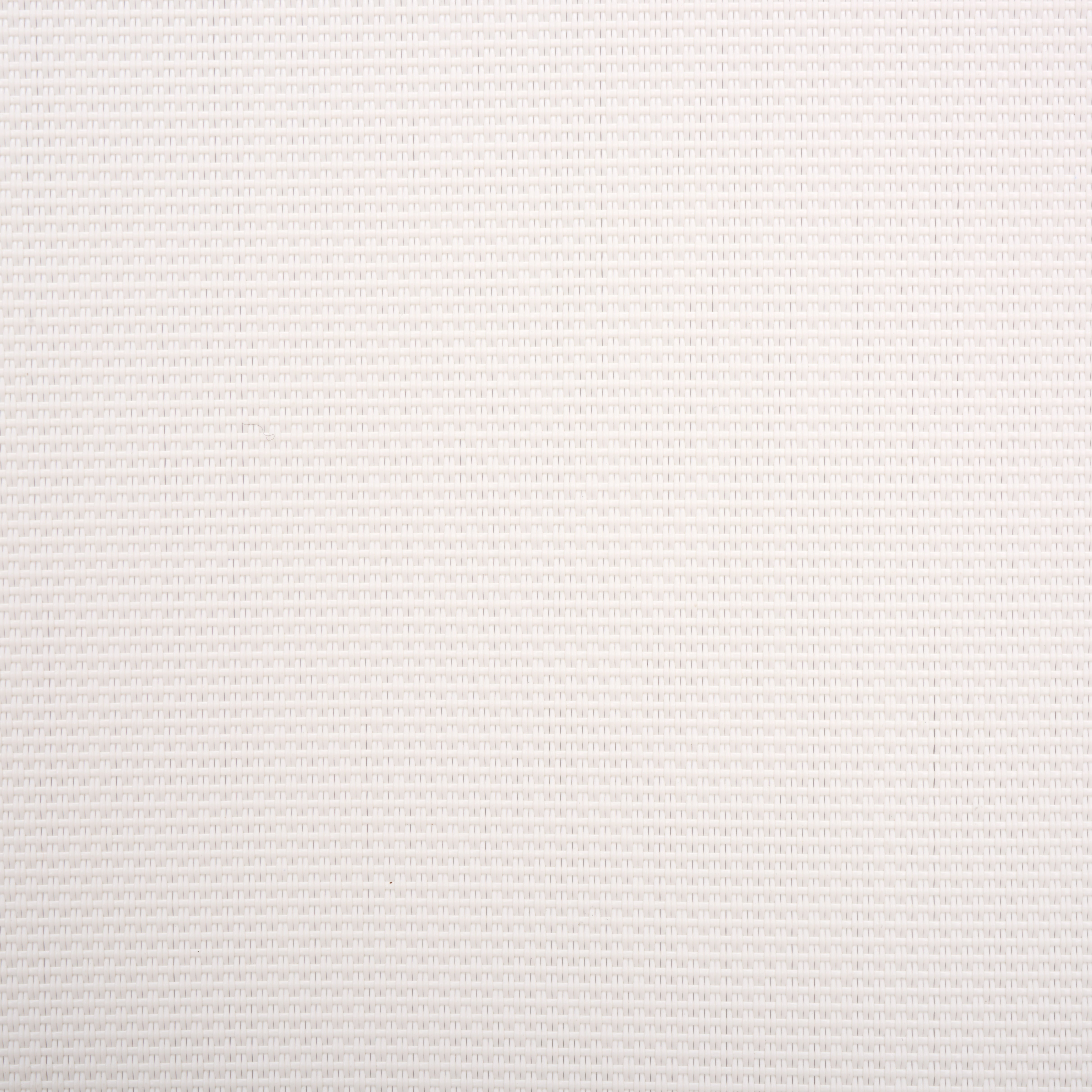 WHITE / WHITE